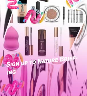 Amazon make up
