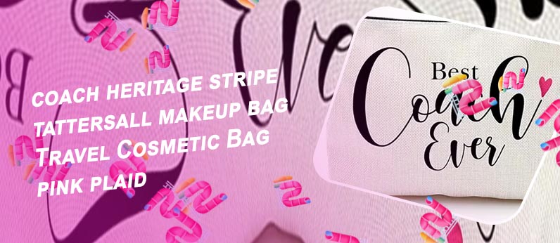 Coach make up bag